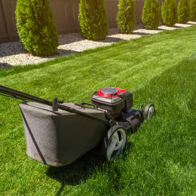 LAWN CARE SERVICES
